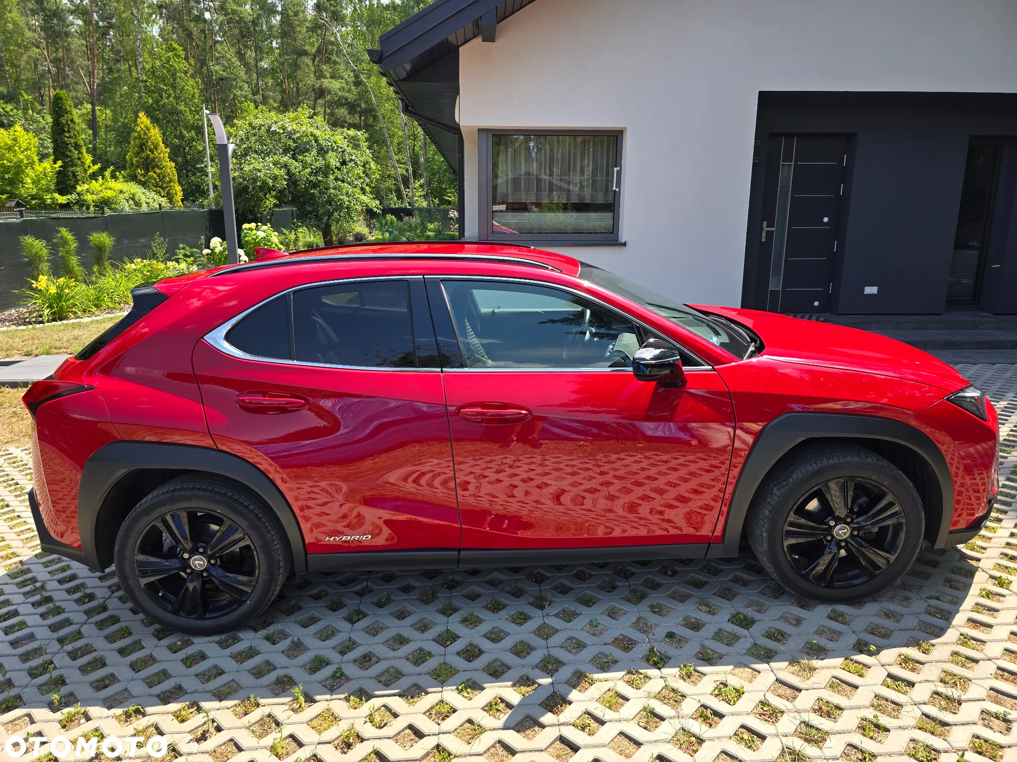 Lexus UX 250h GPF F Impression 2WD - 2