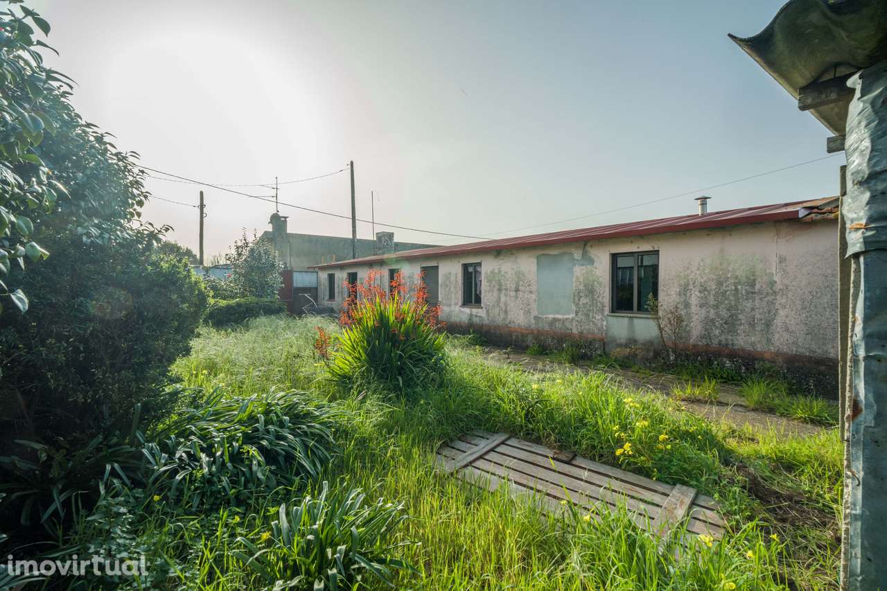 Moradia T3 à venda em Murtosa - Grande imagem: 3/8