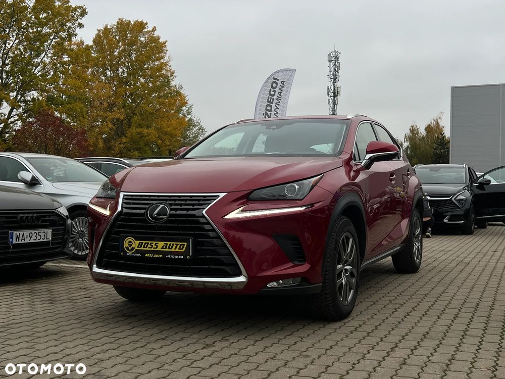 Lexus NX - 4
