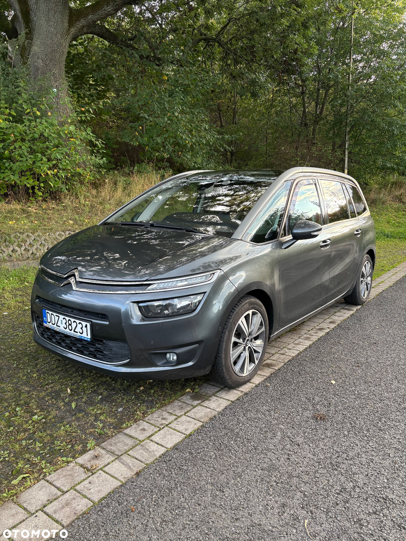Citroën C4 Picasso 2.0 BlueHDi Exclusive - 14