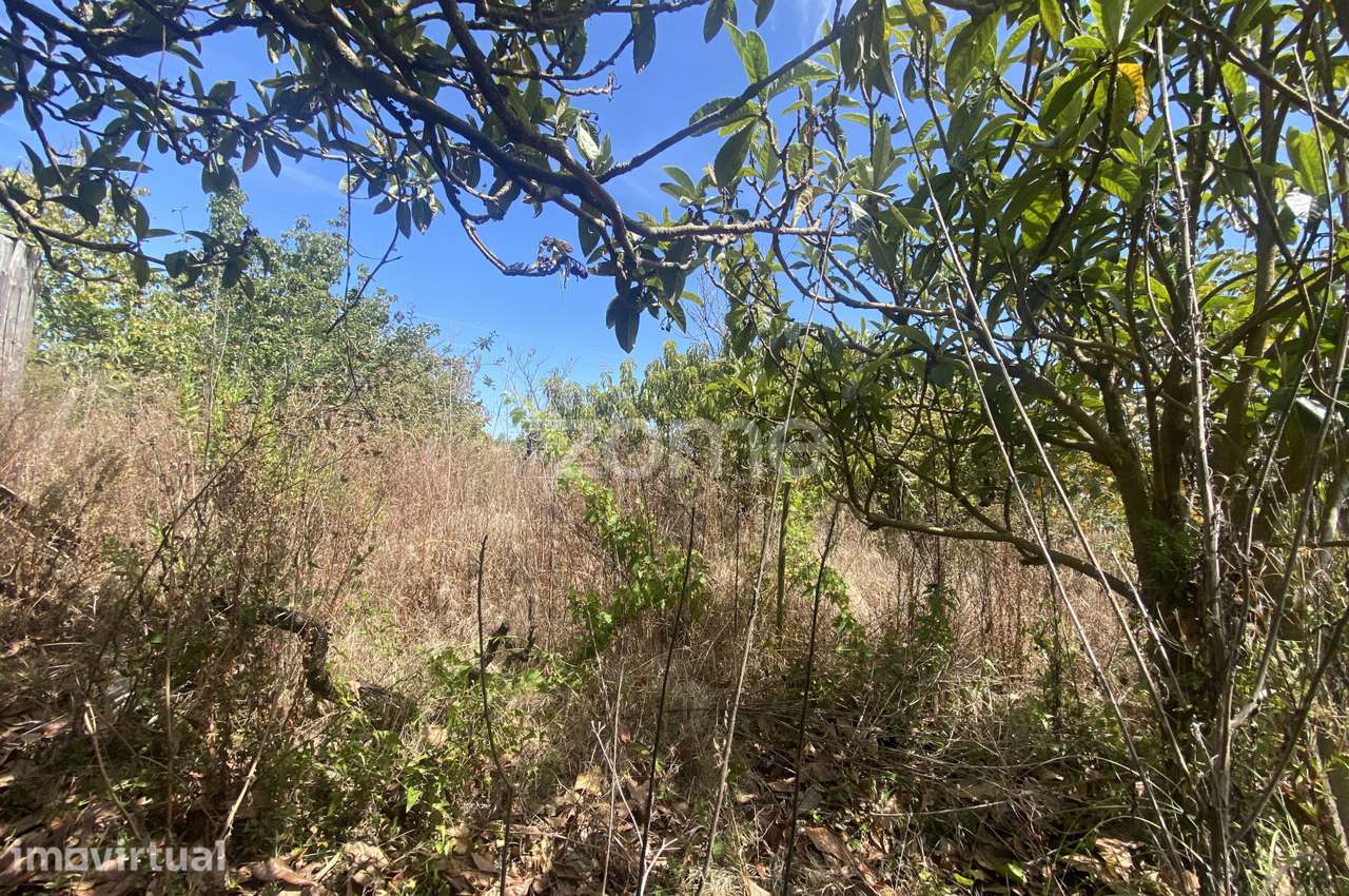Terreno Rústico com 2.700 m² | Figueira da Foz - Grande imagem: 3/15