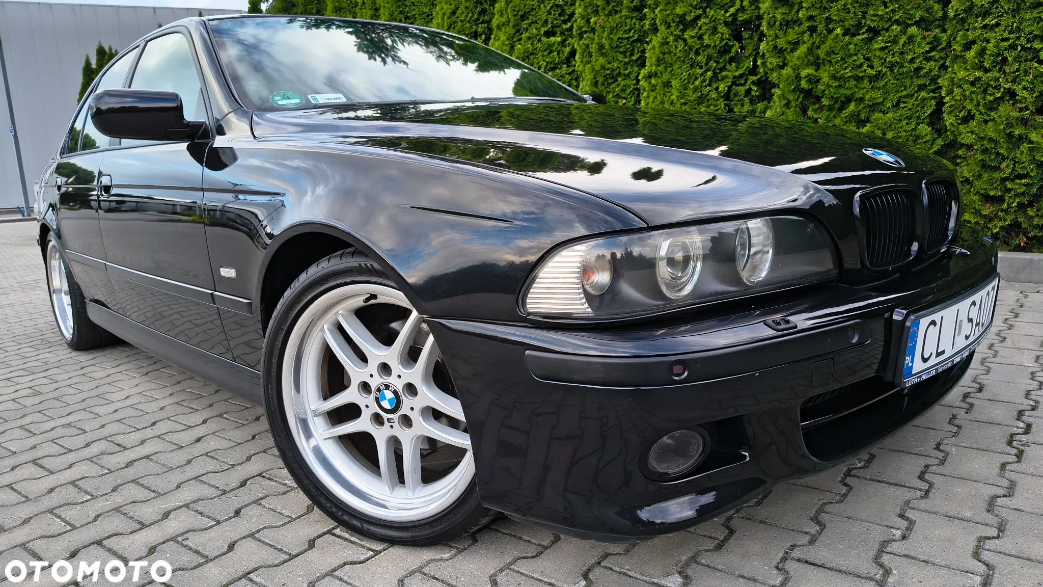 BMW Seria 5 - 1