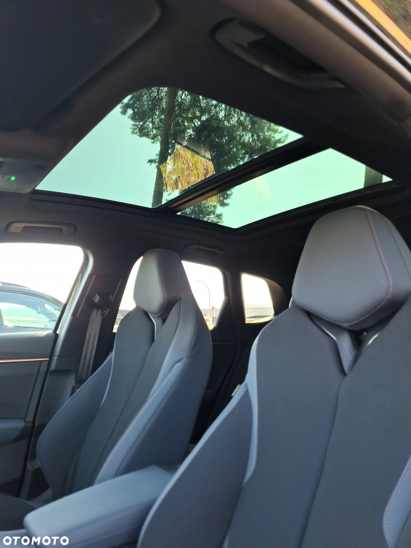 Cupra Terramar 2.0 TSI 4Drive DSG VZ - 11