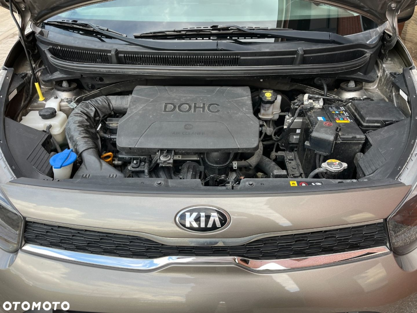 Kia Picanto 1.0 Dream-Team Edition - 28