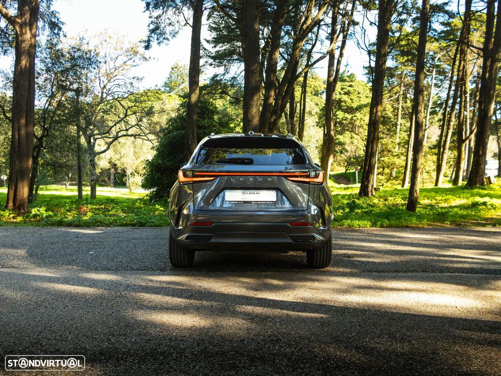 Lexus NX 350h Executive+ - 4