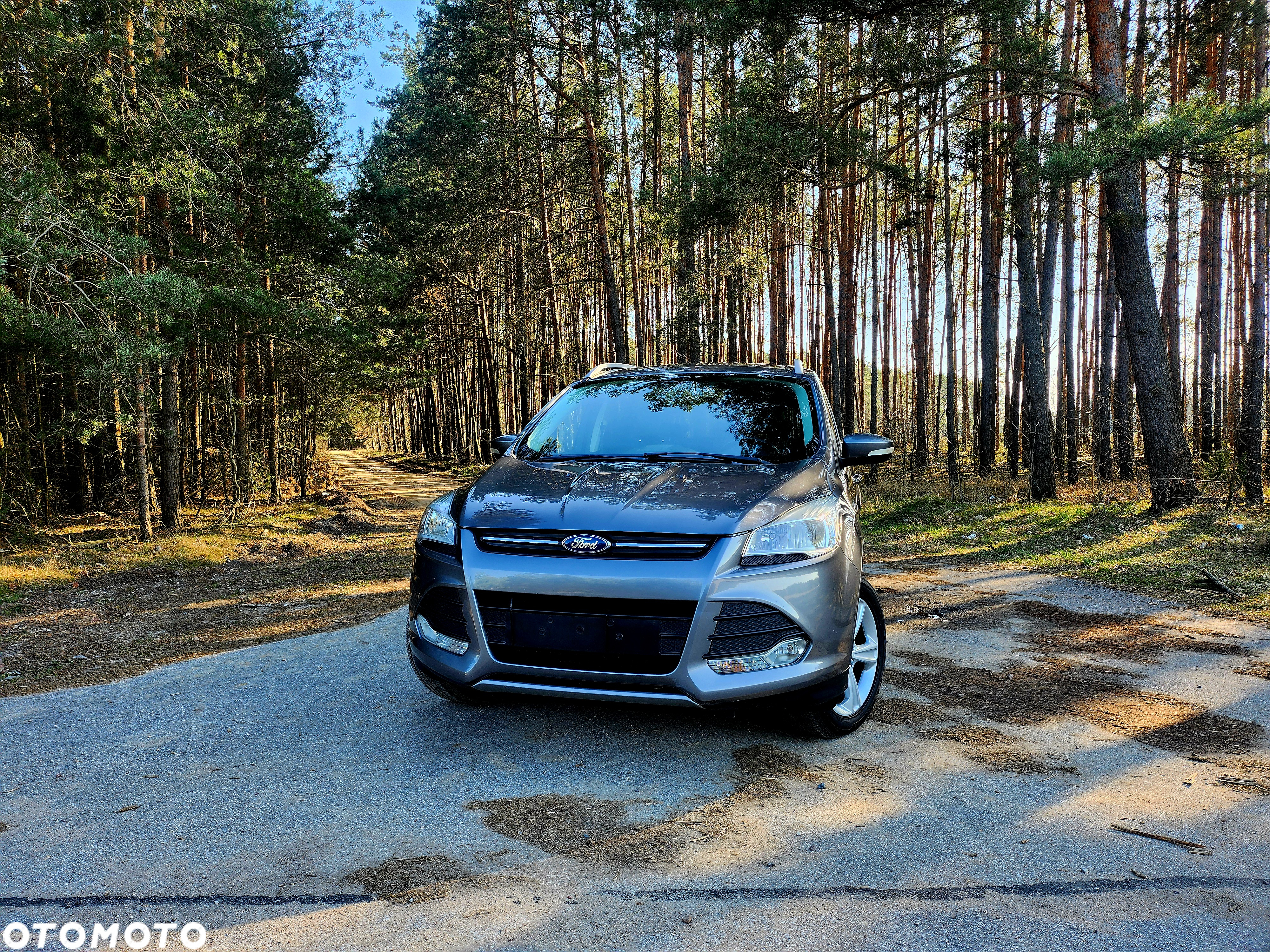 Ford Kuga 2.0 TDCi Titanium - 2