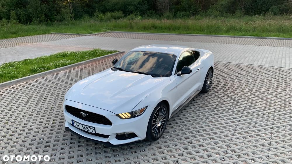 Ford Mustang 3.7 V6 - 12