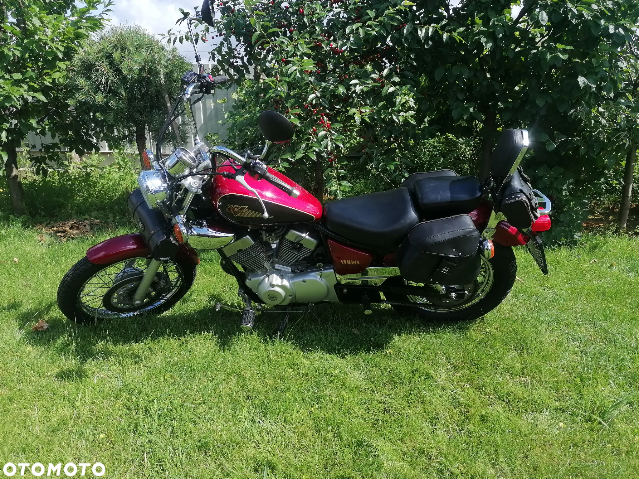 Yamaha Virago - 4