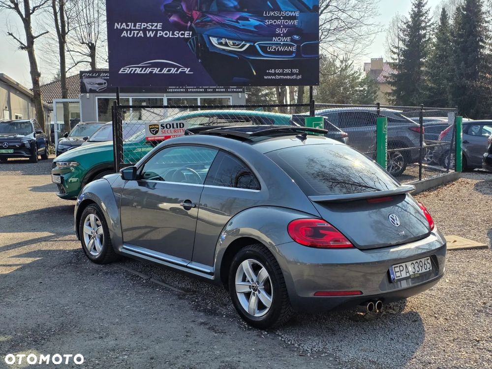 Volkswagen Beetle - 7