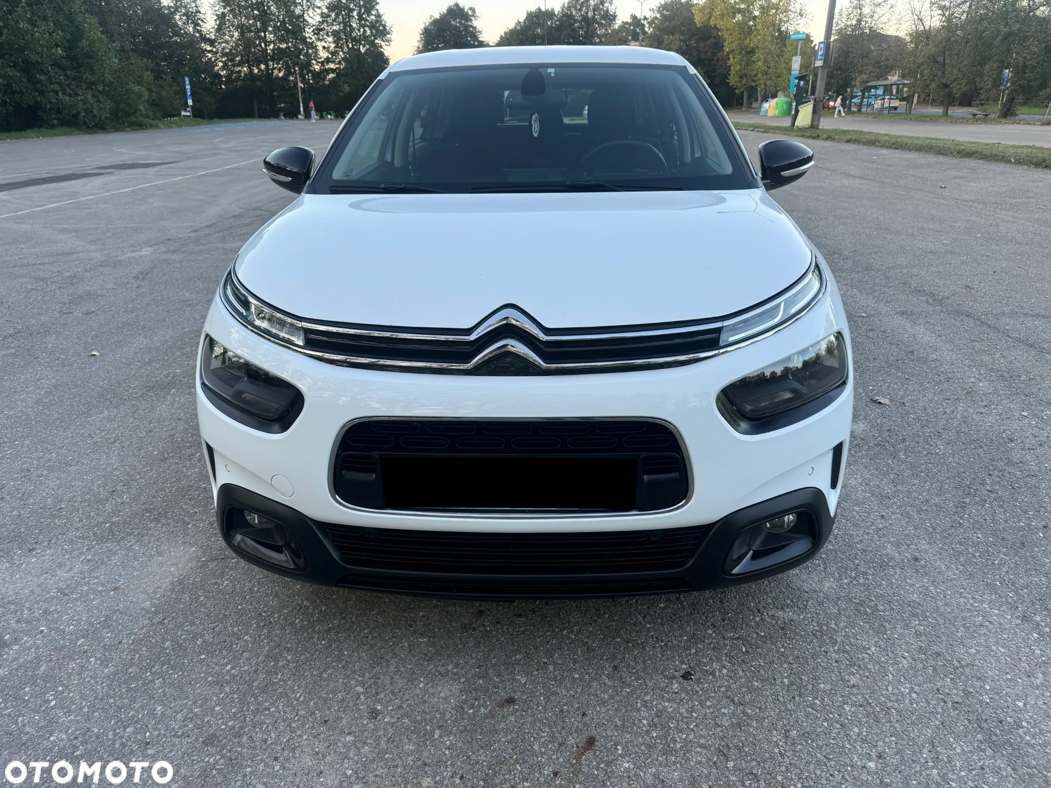 Citroën C4 Cactus 1.2 PureTech Feel S&S EAT6 - 3