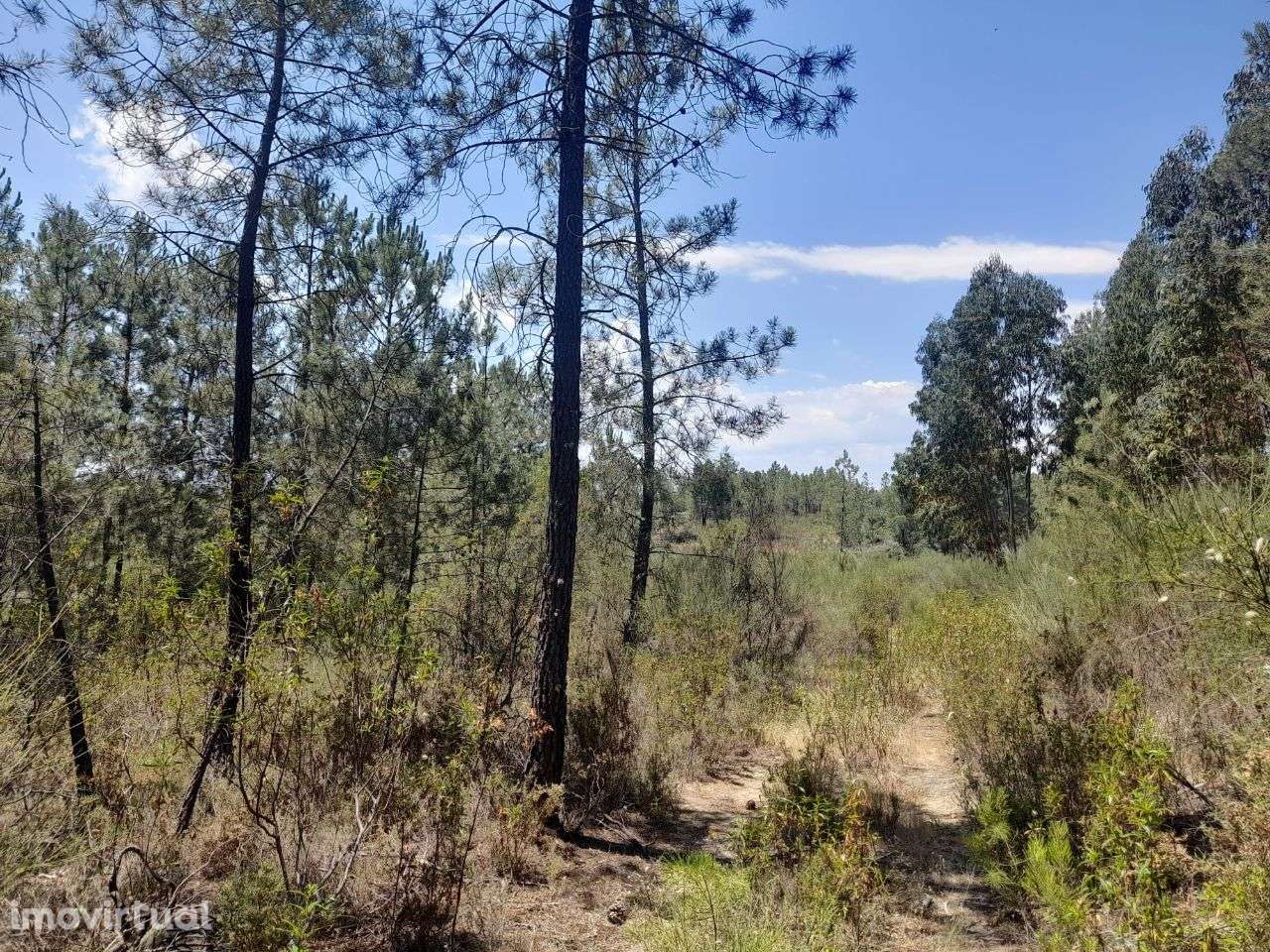 Terreno - Grande imagem: 3/4