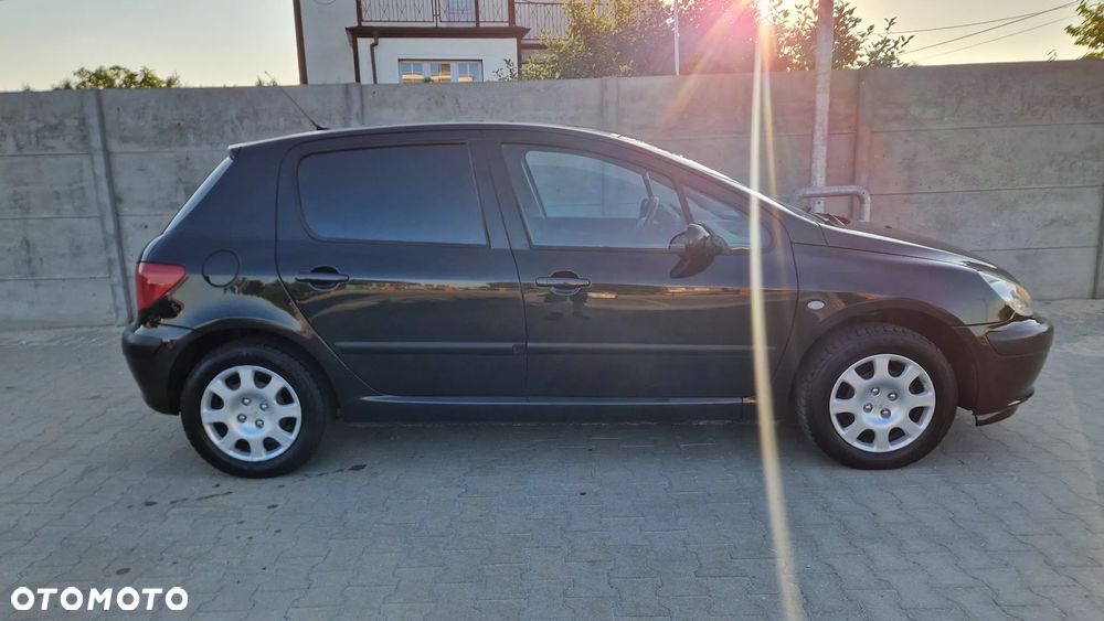 Peugeot 307 - 5