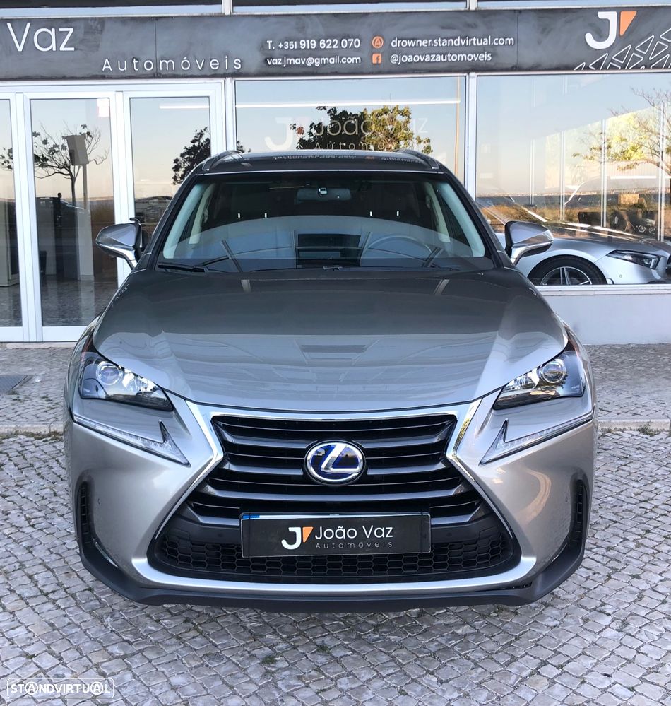 Lexus NX 300h Executive Plus - 12
