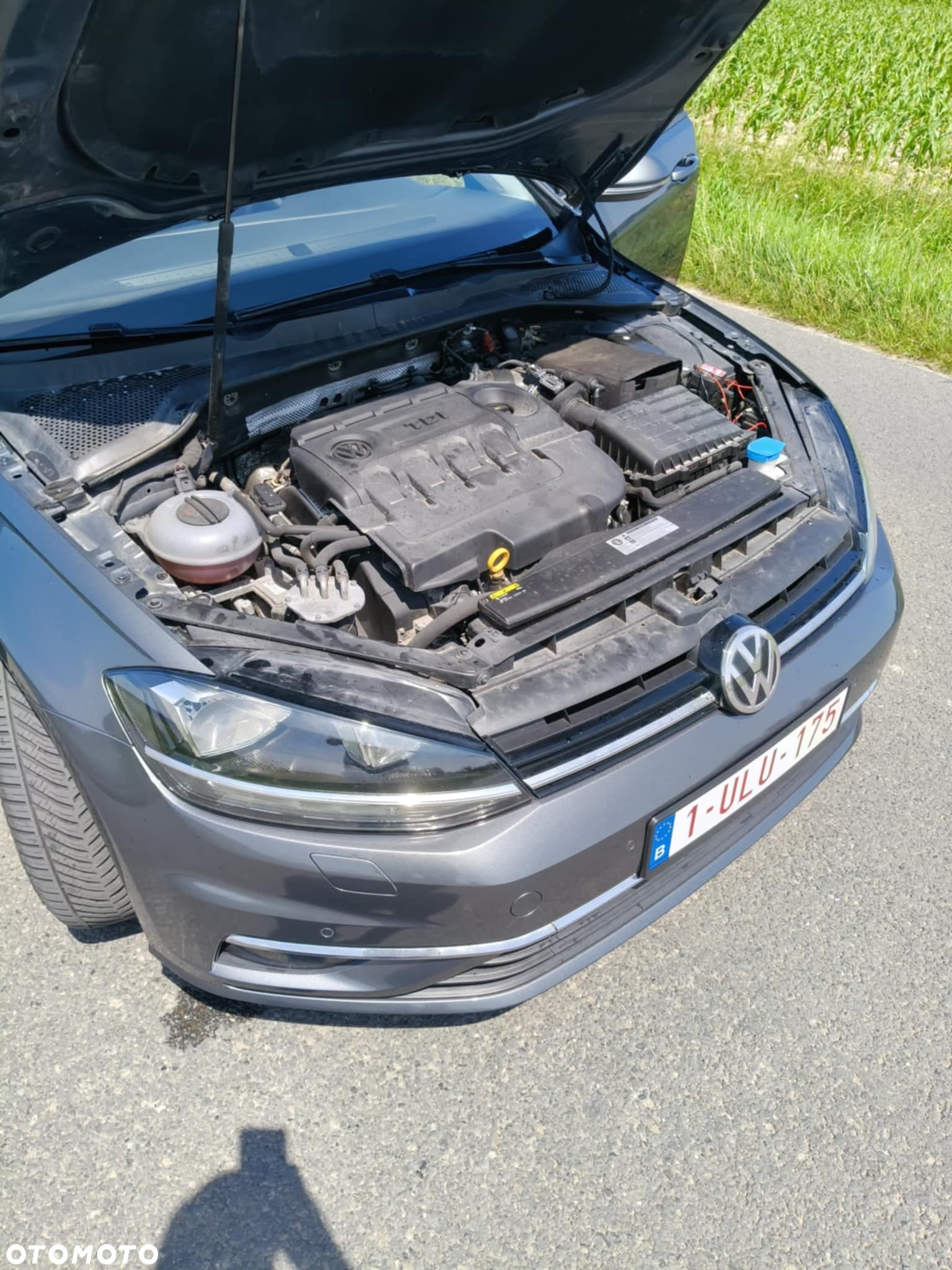 Volkswagen Golf VII 1.6 TDI BMT Comfortline - 14