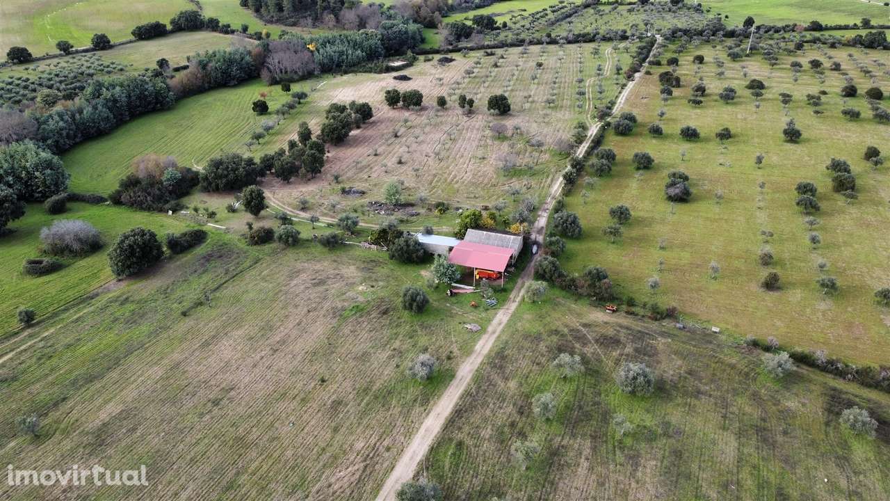 Quinta com 23 hectares junto a serra da gardunha, Soalheira Fundão - Grande imagem: 3/60
