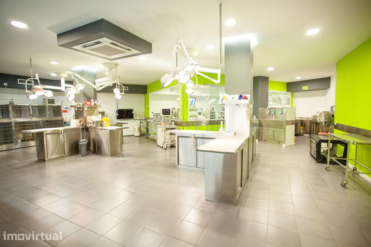 Hospital Veterinário de Referência à Venda no Centro de Santarém – Imó - Grande imagem: 3/60