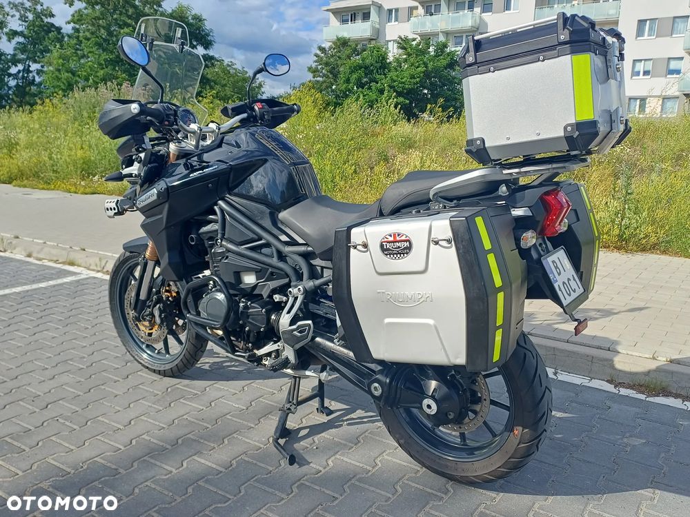 Triumph Tiger - 5