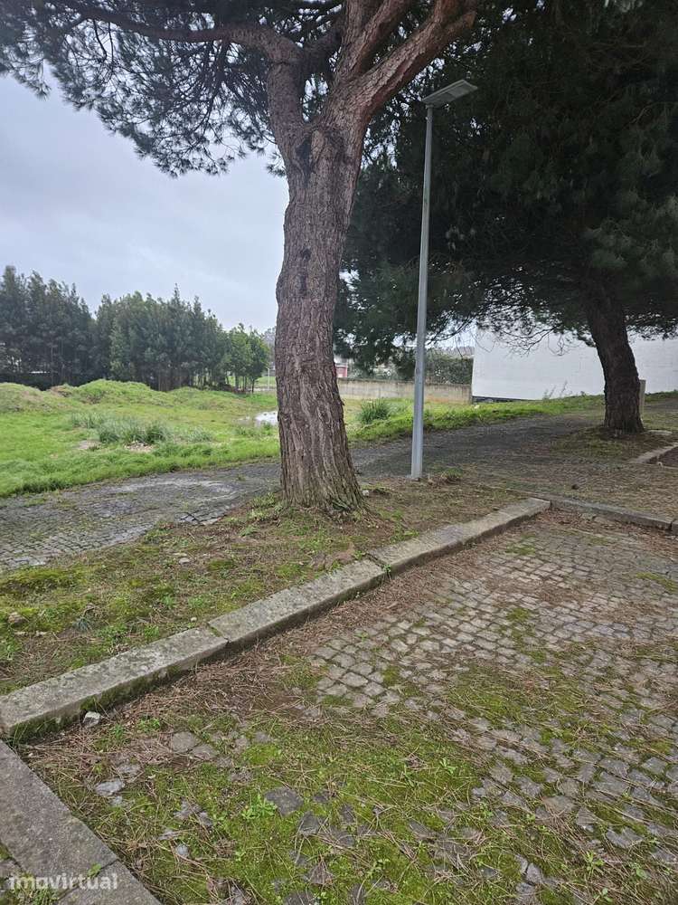 Terreno para moradia - Grande imagem: 4/12