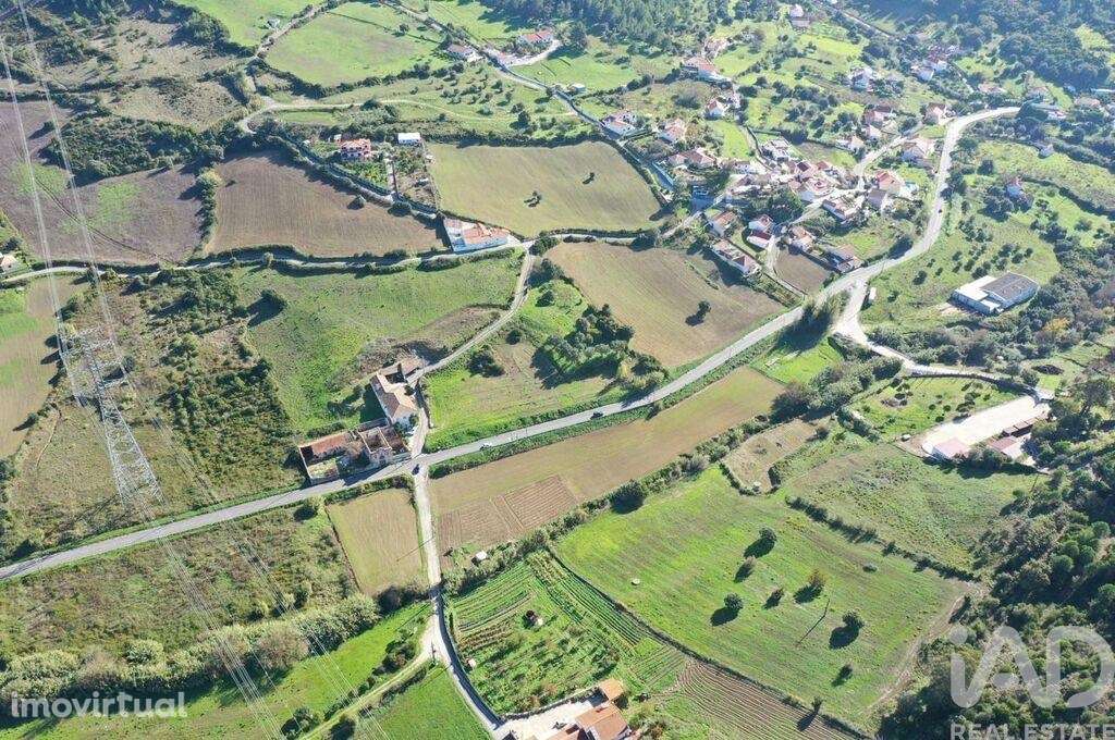 Terreno em Alhandra, São João dos Montes e Calhandriz - Grande imagem: 3/10