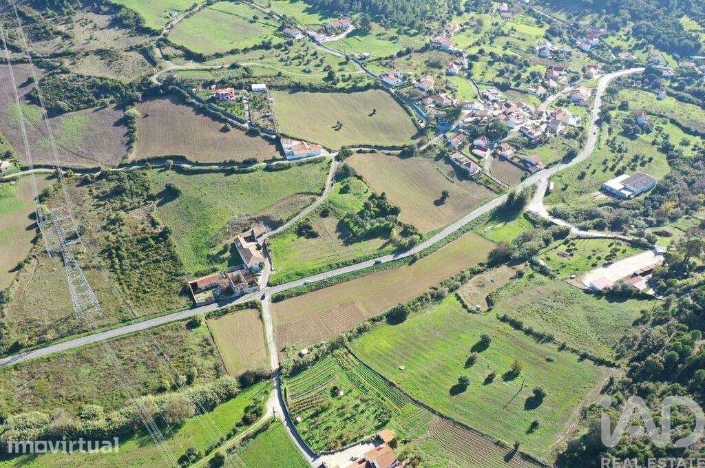 Terreno em Alhandra, São João dos Montes e Calhandriz - Grande imagem: 3/10