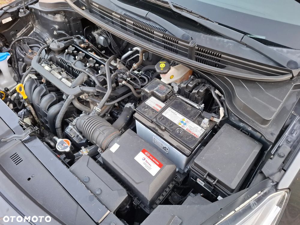 Kia Rio - 23