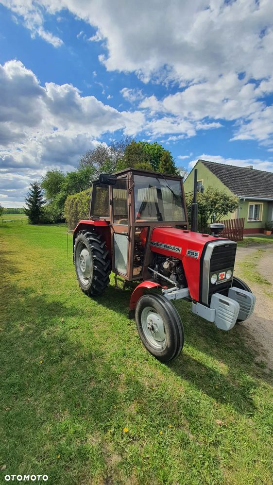 Ursus Massey Ferguson 255 - 2