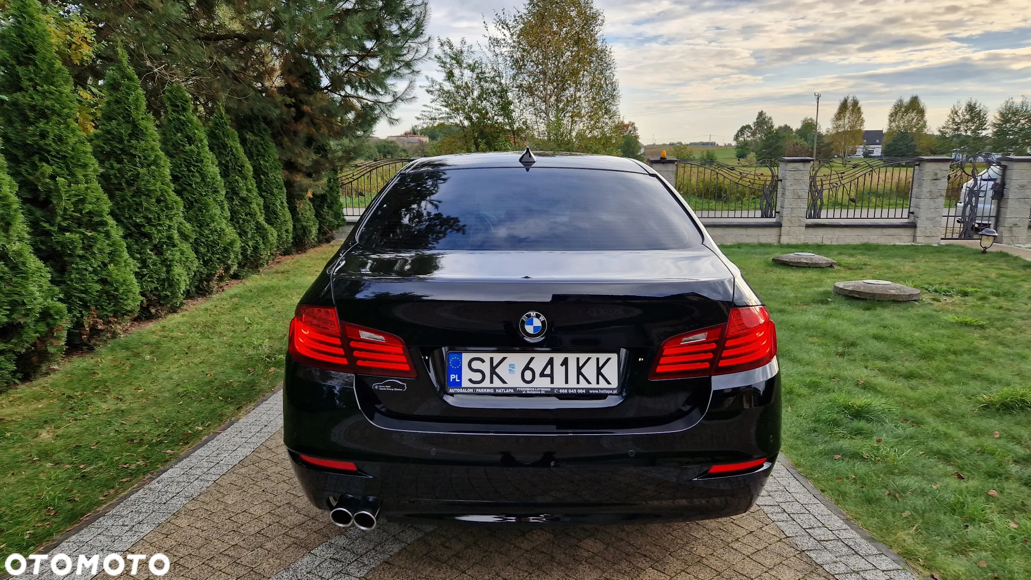 BMW Seria 5 518d Advantage - 8