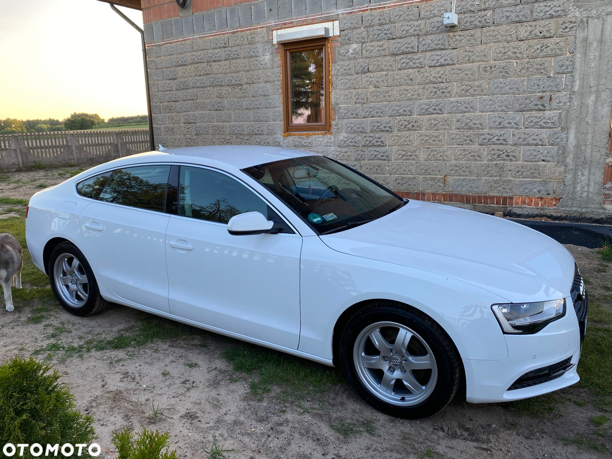 Audi A5 1.8 TFSI Sportback - 6