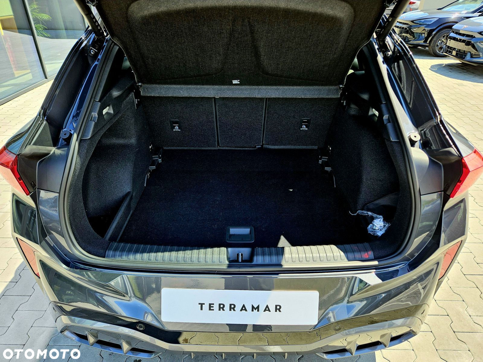 Cupra Terramar - 8