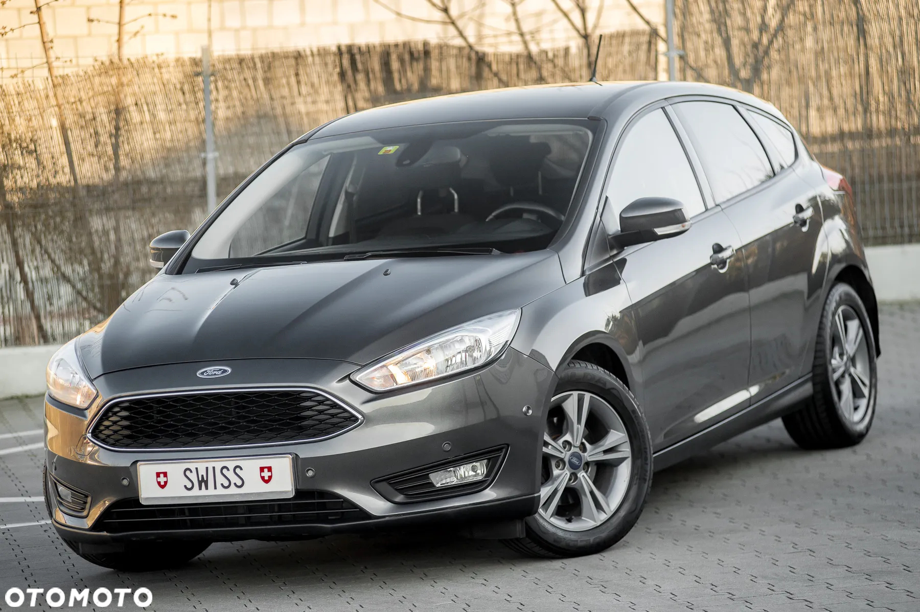 Ford Focus - 6