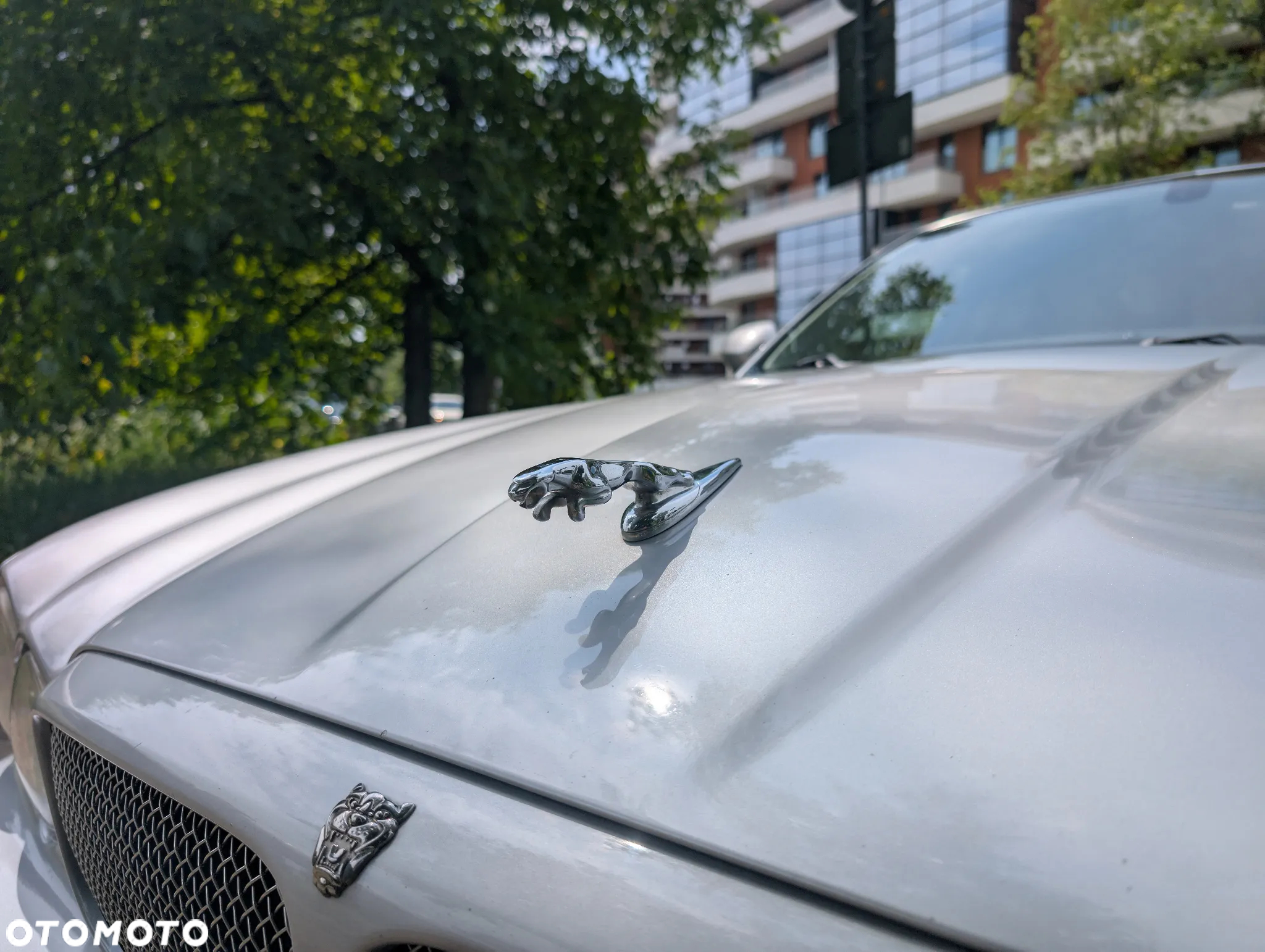 Jaguar XJR 4.2 - 6