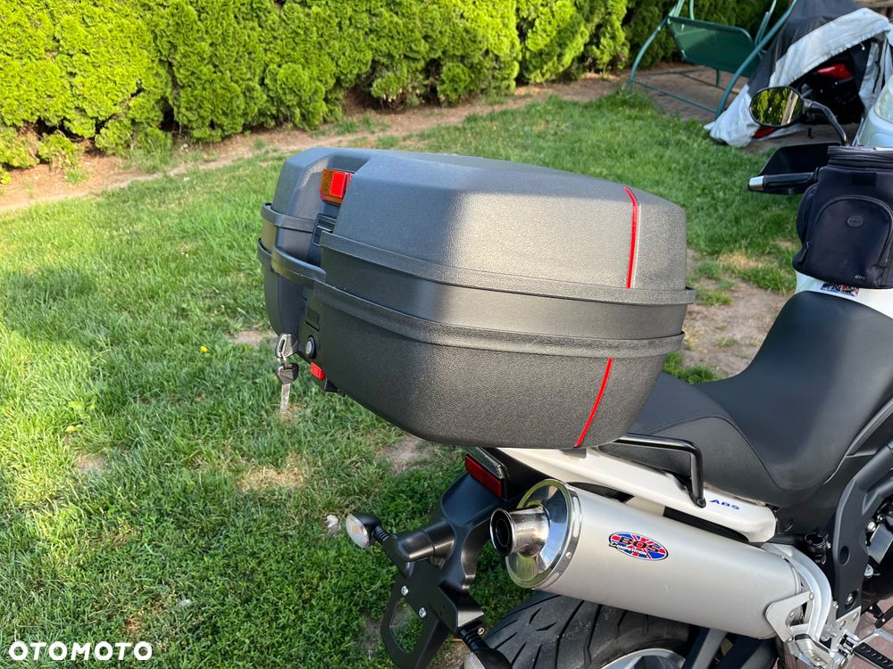 Triumph Tiger - 19