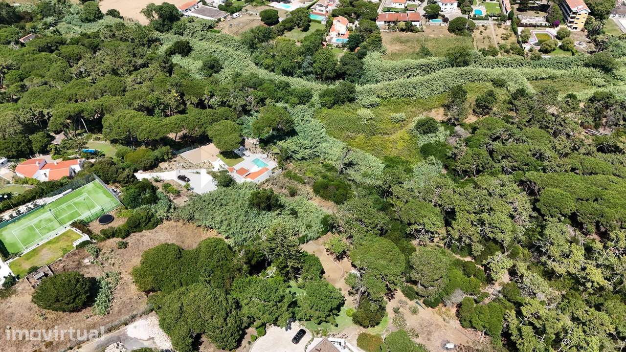 Terreno Exclusivo na Praia Grande - Sintra - Grande imagem: 5/7