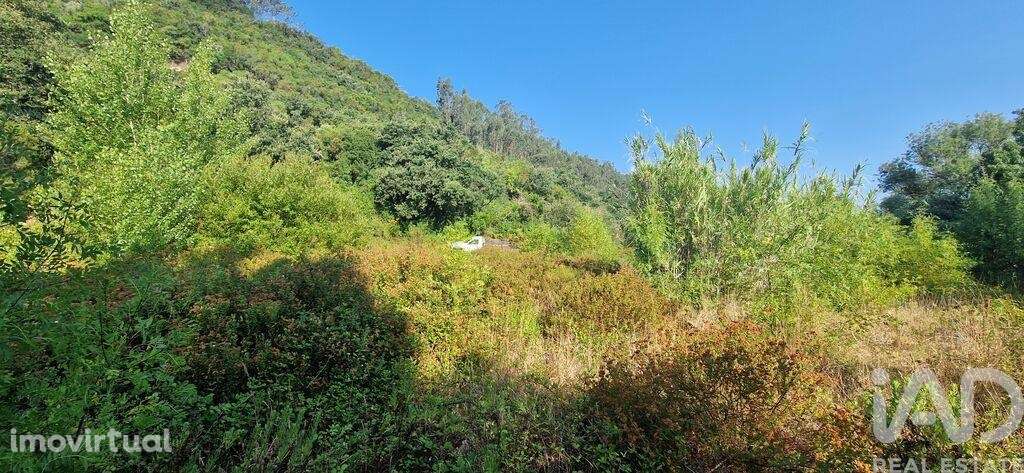 Terreno em Azueira e Sobral da Abelheira de 7500,00 m2 - Grande imagem: 5/18