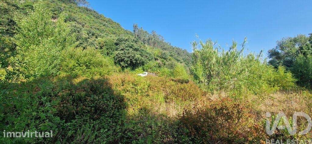 Terreno em Azueira e Sobral da Abelheira de 7500,00 m2 - Grande imagem: 5/18