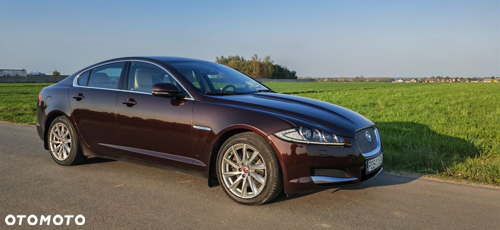 Jaguar XF 2.2 D Premium Luxury - 16