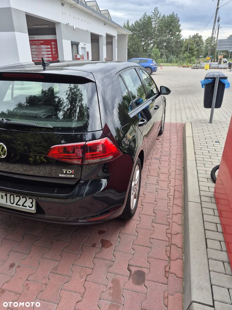 Volkswagen Golf 1.6 TDI DPF DSG Highline - 7