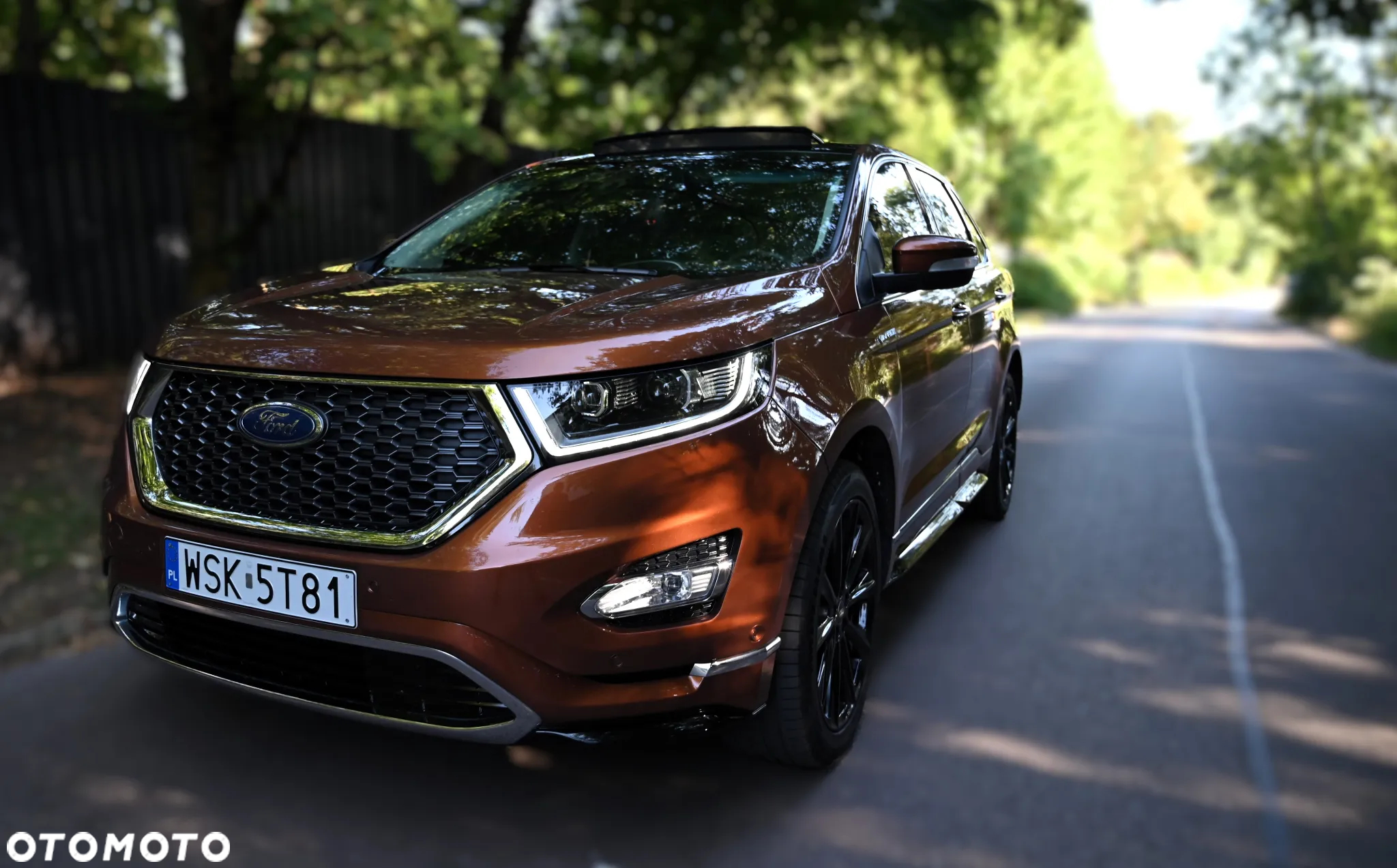 Ford Edge Vignale 2.0 TDCi Twin-Turbo 4WD - 10