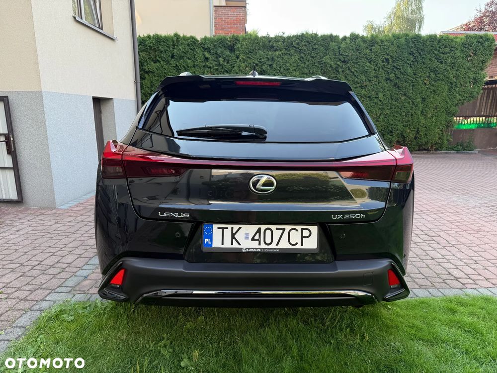 Lexus UX 250h F Sport 2WD - 3