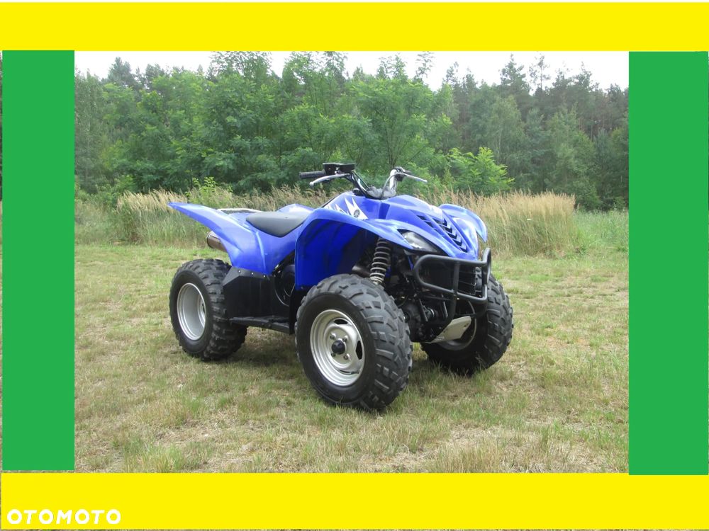 Yamaha Wolverine - 1