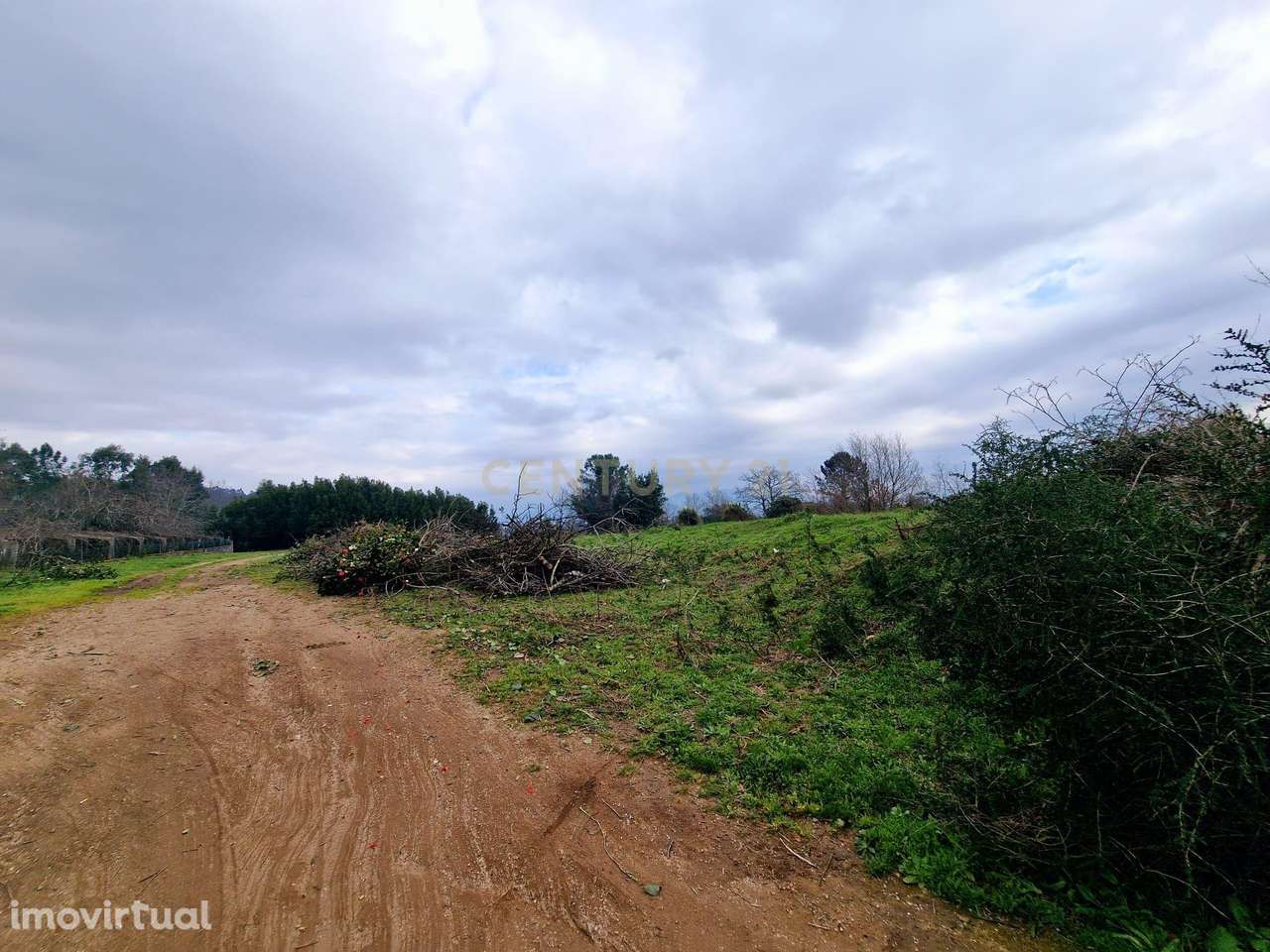 Terreno industrial 9.833m2 - Ponte da Barca - Grande imagem: 3/8