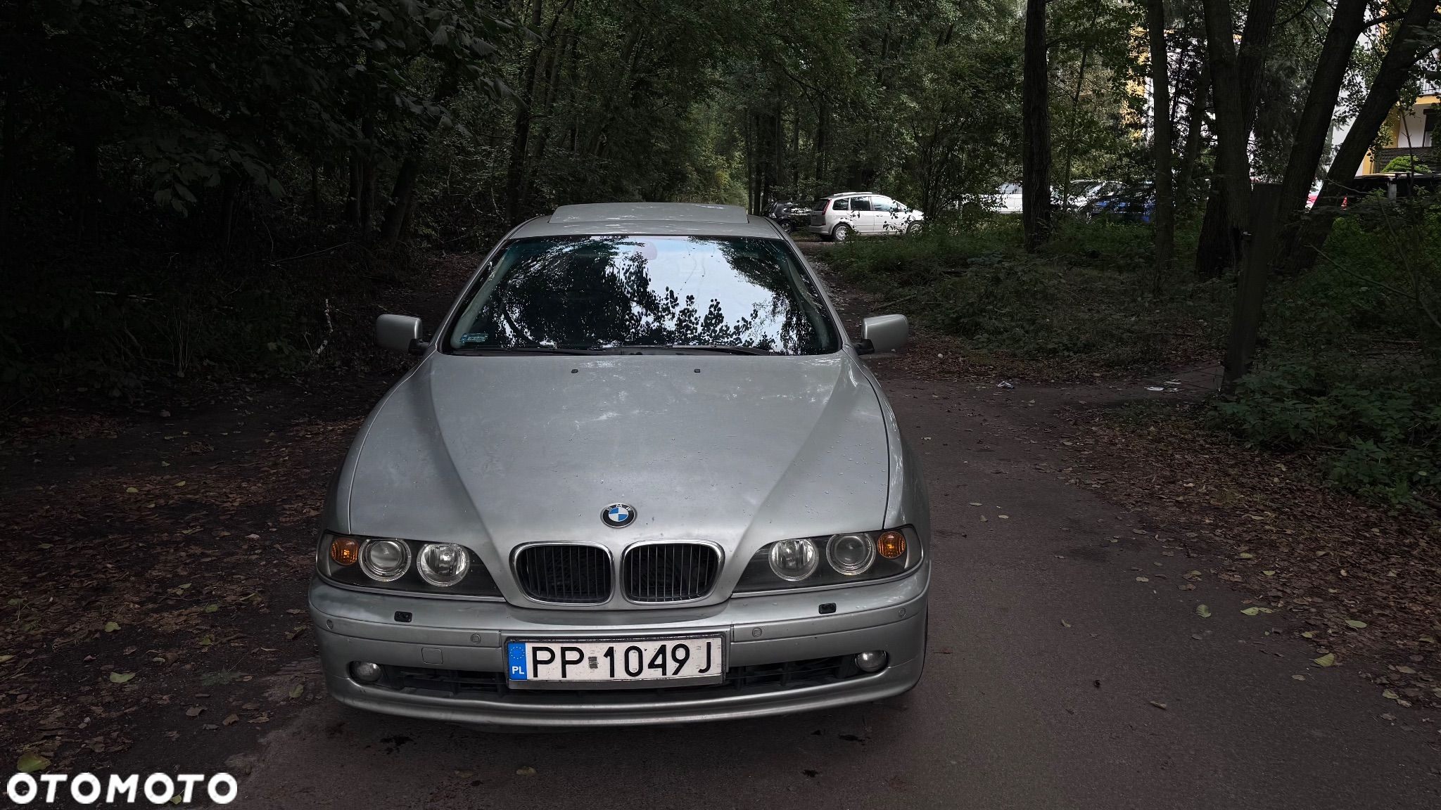 BMW Seria 5 - 1