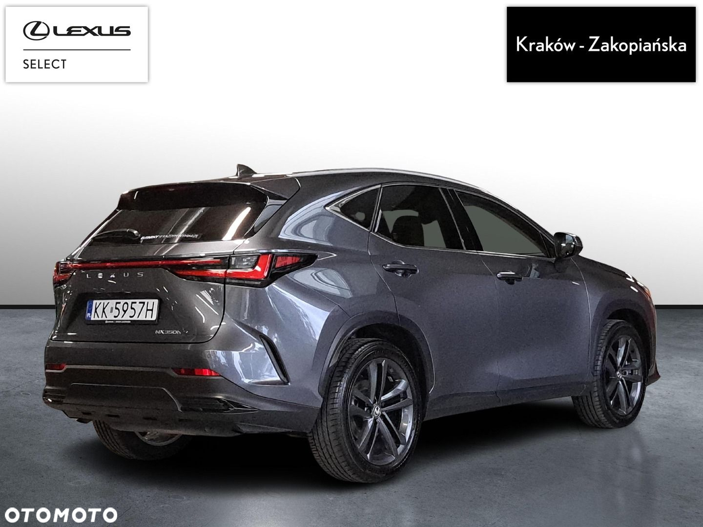 Lexus NX - 9