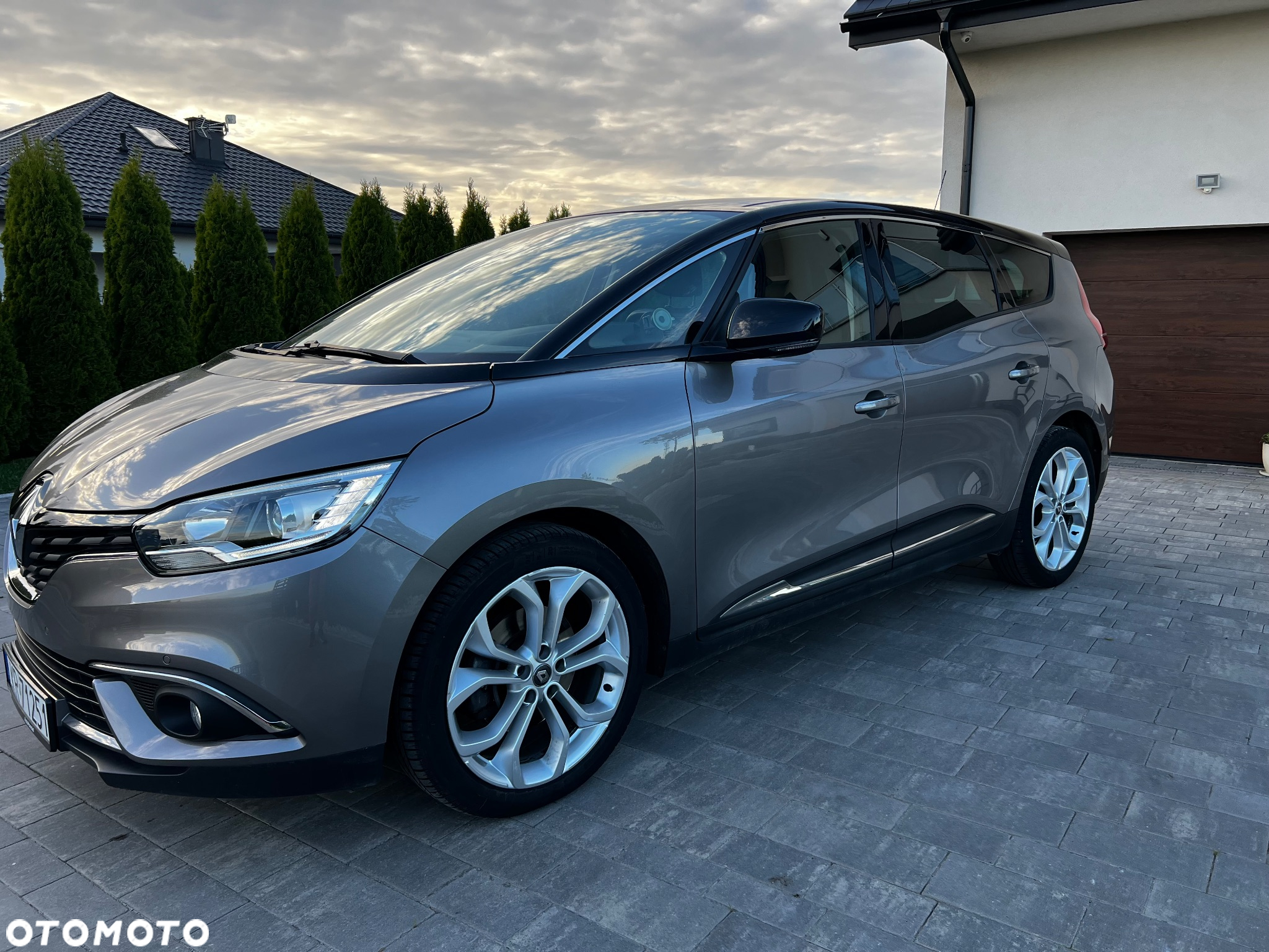 Renault Scenic - 5
