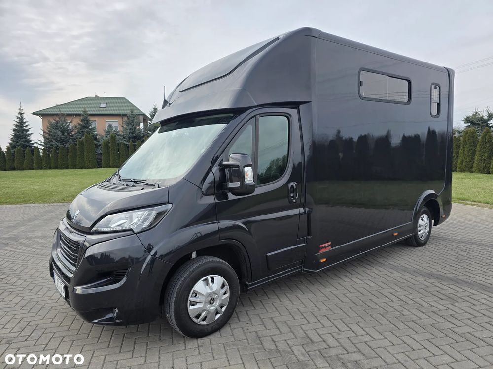 Peugeot Boxer-Koniowóz - 7