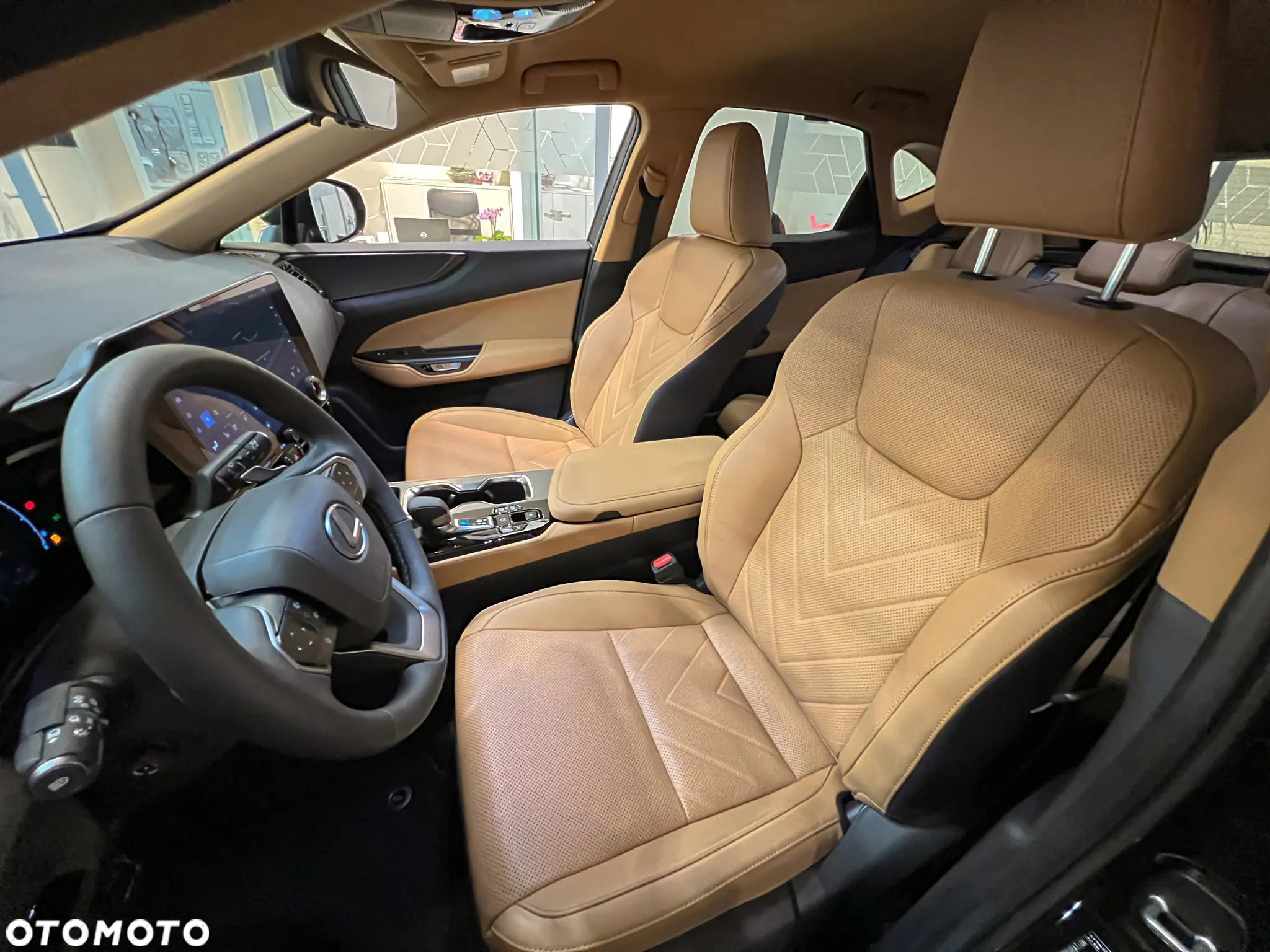 Lexus NX - 13