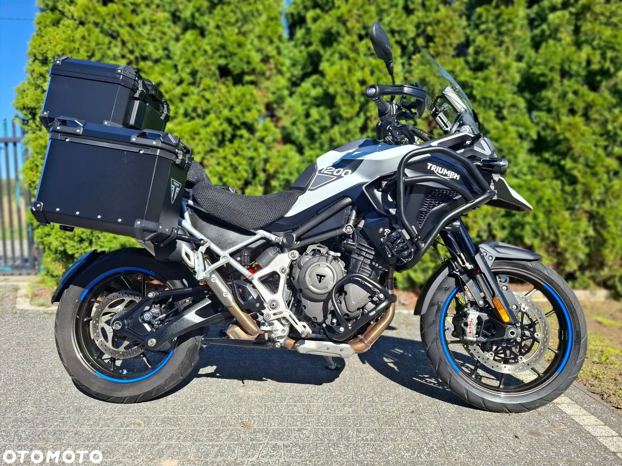 Triumph Tiger - 1
