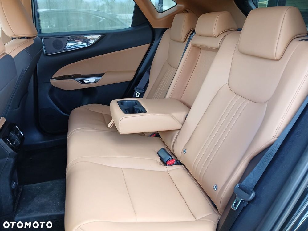 Lexus NX - 7