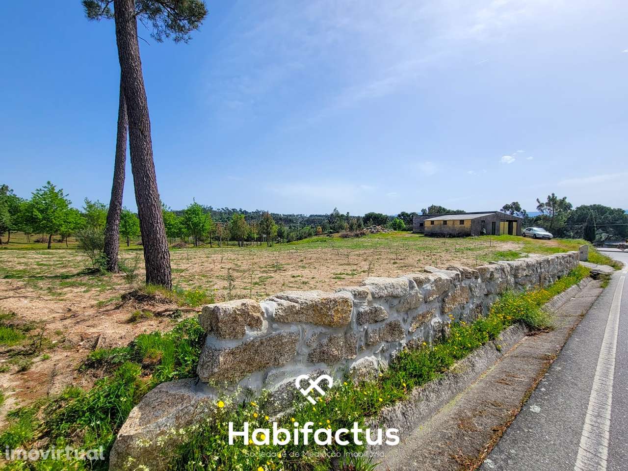 Terreno Rústico com 4.672 m2, com Olival e Pavilhão, á Venda em Abrunh - Grande imagem: 3/16