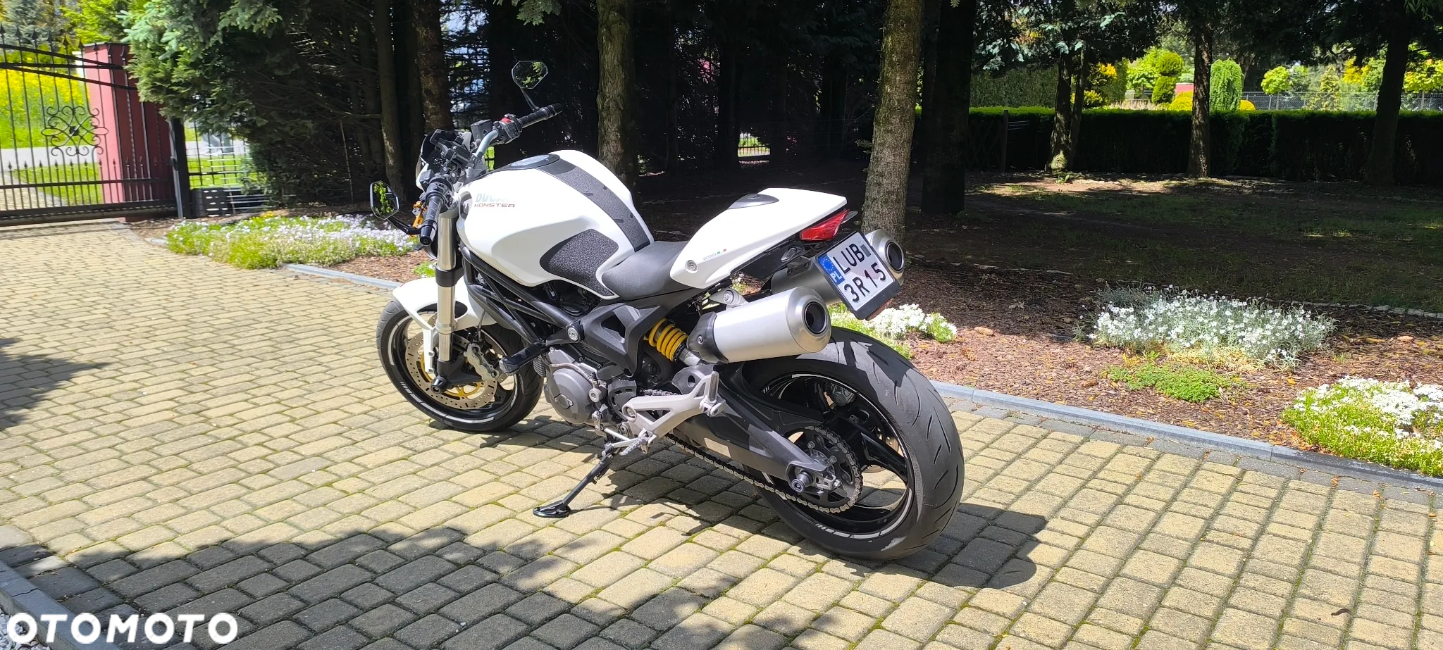 Ducati Monster - 2